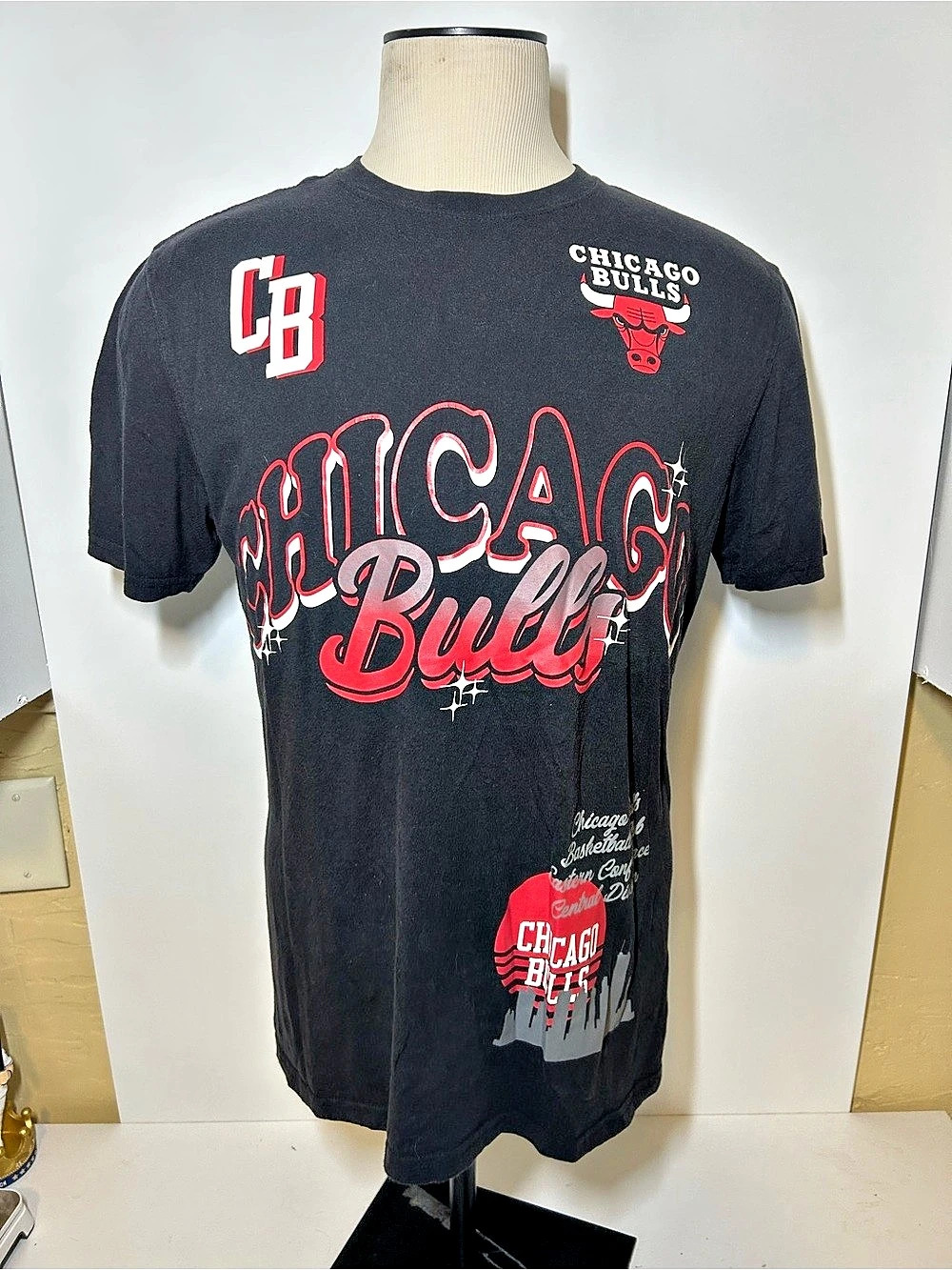 Chicago Bulls Graphic Short Sleeve Tee